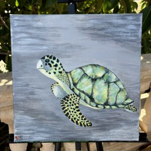 Wasserschildkröte